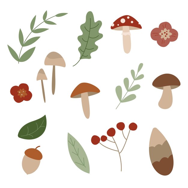 Estilo plano vectorial de hongos del bosque vectorial y conjunto de elementos del bosque