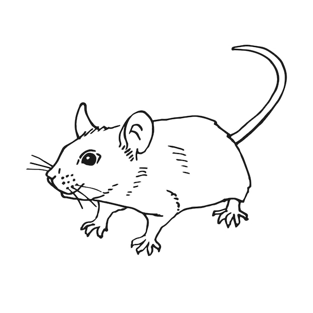 Estilo de tinta de ilustración vectorial dibujado a mano con el ratón