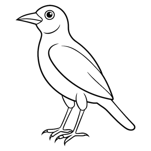 Estilo de vector de pájaro