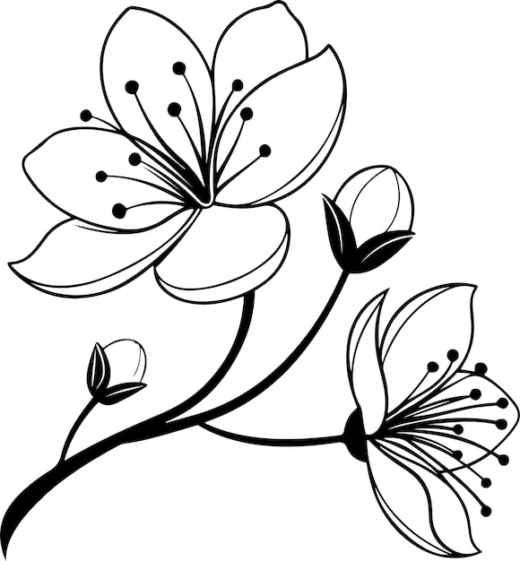 Estilo vectorial de silueta de flor negra y blanca con fondo blanco