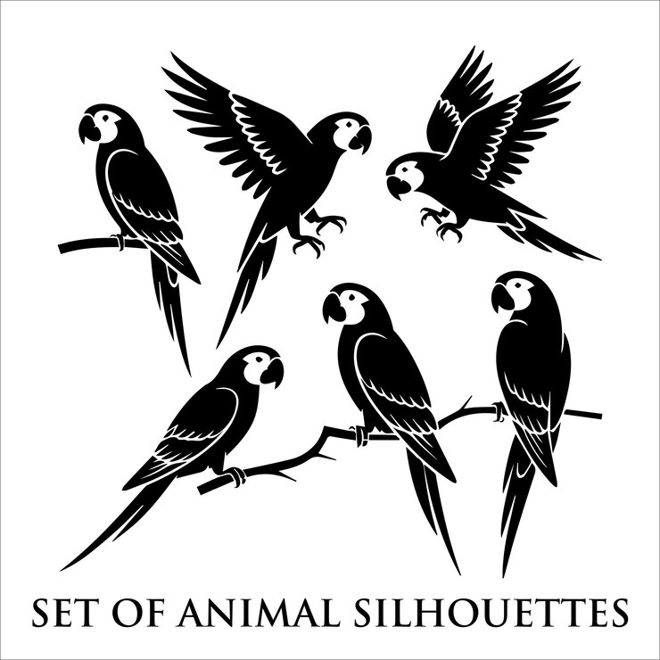 Estilo vectorial de silueta de pájaro loro con fondo blanco e ilustración