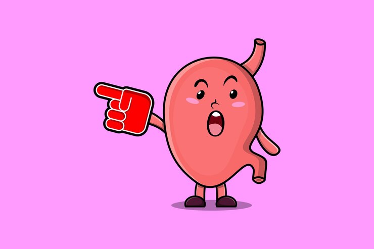 Vector estómago de dibujos animados lindo con guante de dedo de espuma en diseño moderno