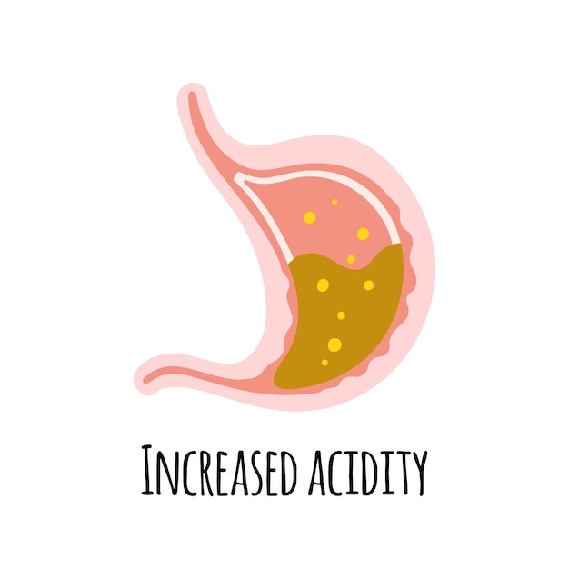 El estómago de una persona con alta acidez Gastroenterología Ilustración vectorial en un piso