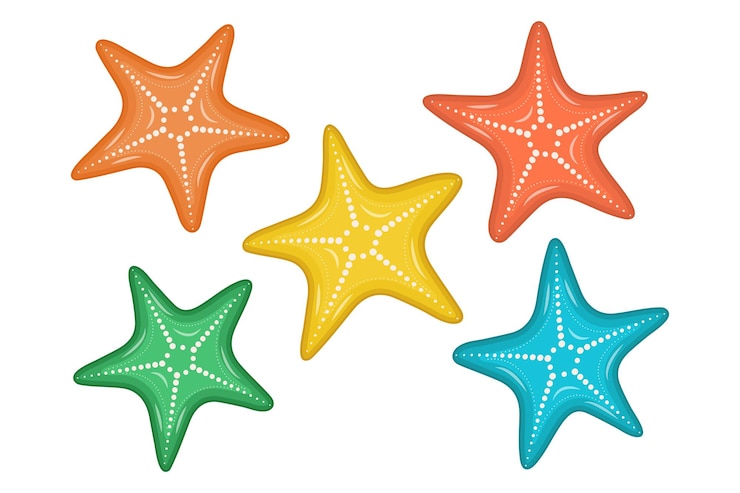Vector estrella de mar multicolor en estilo de dibujos animados. elemento de diseño. hola verano. ilustración de vector aislado sobre fondo blanco.