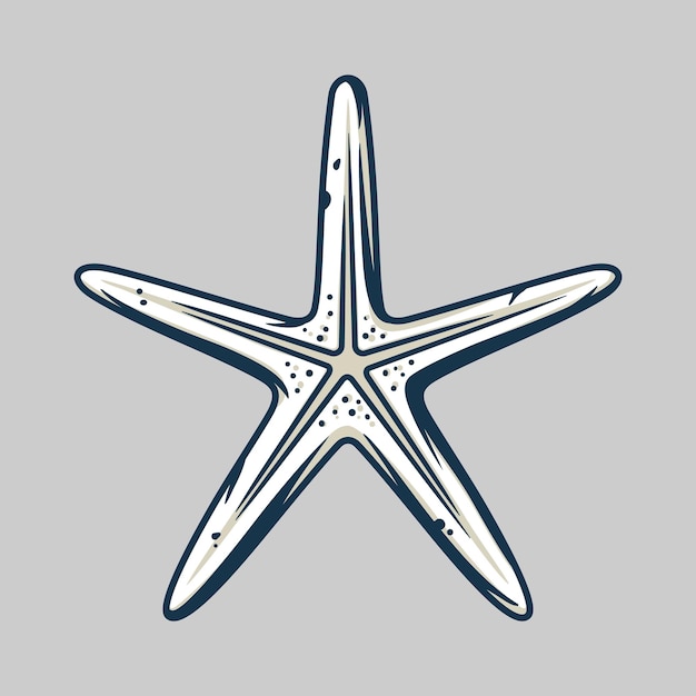 Estrella de mar oceánica náutica marina estrella de mar exótica