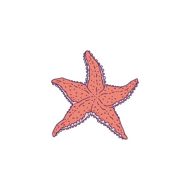 Estrella de mar roja. vector salvaje océano animal molusco vida submarina garabato línea ilustración aislada.