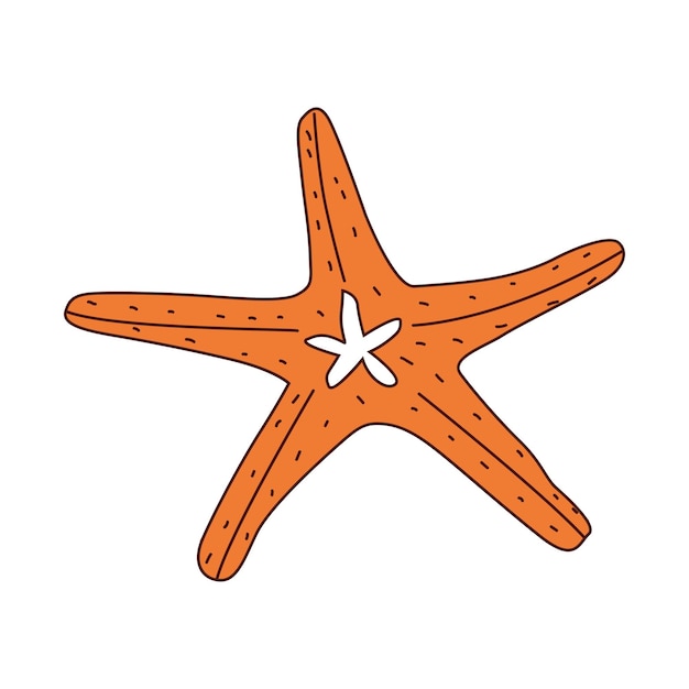 Vector estrella de mar sobre un fondo blanco.