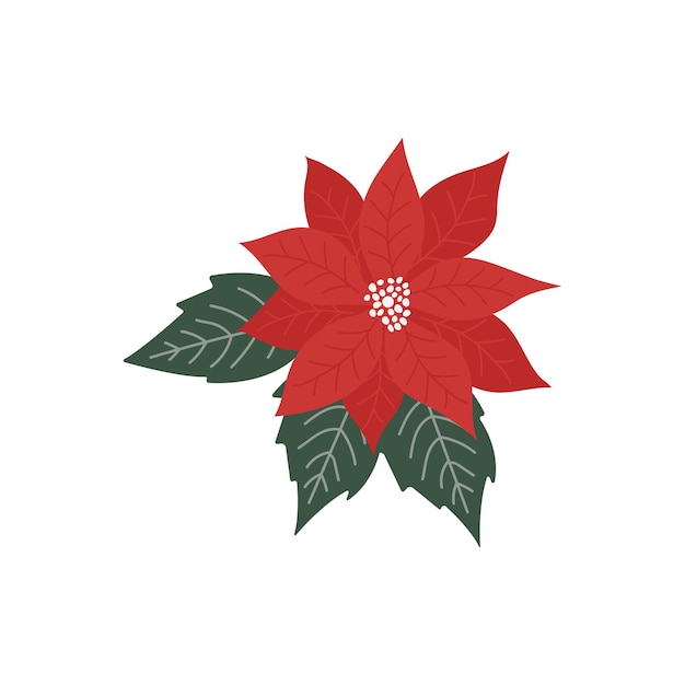 Estrella de Navidad Poinsettia sobre un fondo blanco en un estilo plano y simple Elemento botánico decorativo