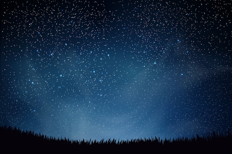 Vector estrellas en el cielo nocturno. cielo azul oscuro con muchas estrellas sobre el campo de hierba. brillantes estrellas y nubes. antecedentes