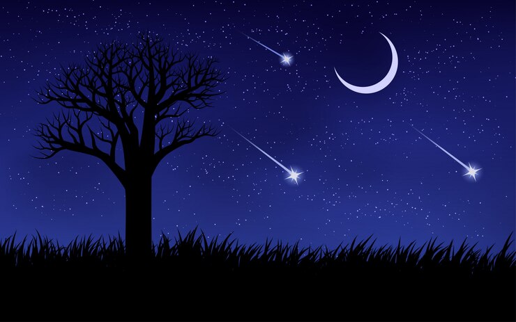 Vector estrellas fugaces en el cielo nocturno