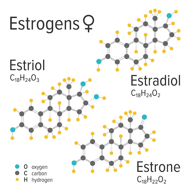 Vector estrógenos hormonas femeninas vector fórmulas moleculares químicas