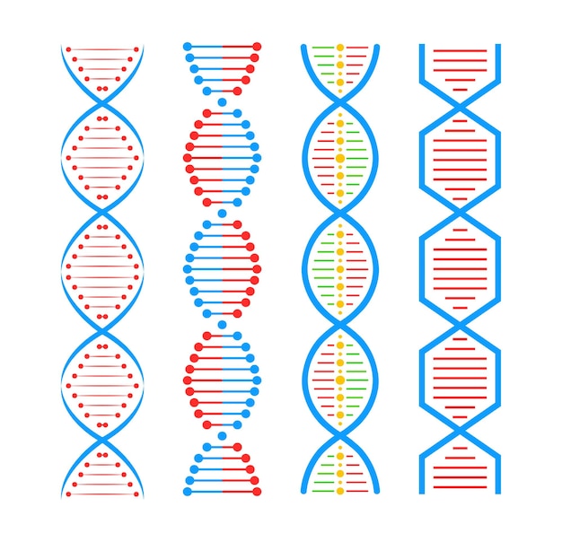 Estructura del ADN Conjunto de iconos Molécula de estructura y cromosoma celular Ingeniería genética