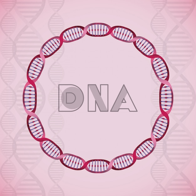 Vector estructura circular de la molécula de adn.