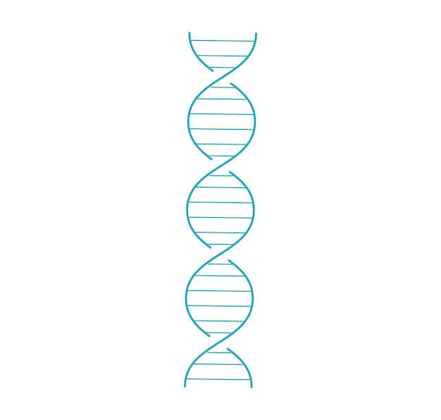 Estructura de doble hélice de ADN azul simplificada sobre fondo blanco Ilustración de vector de tema biológico o genético