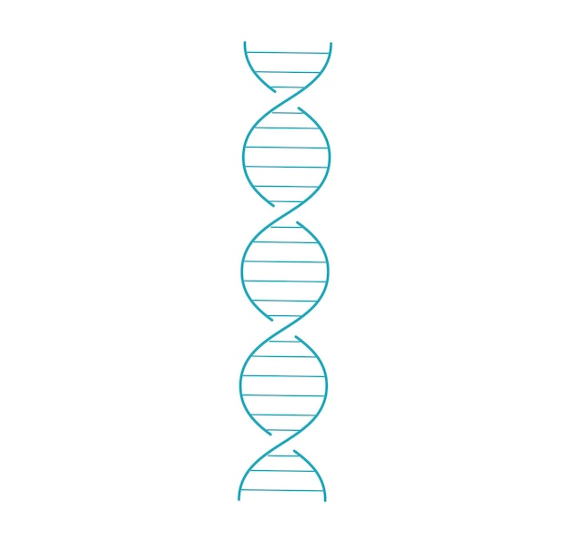 Estructura de doble hélice de ADN azul simplificada sobre fondo blanco vector de tema biológico o genético