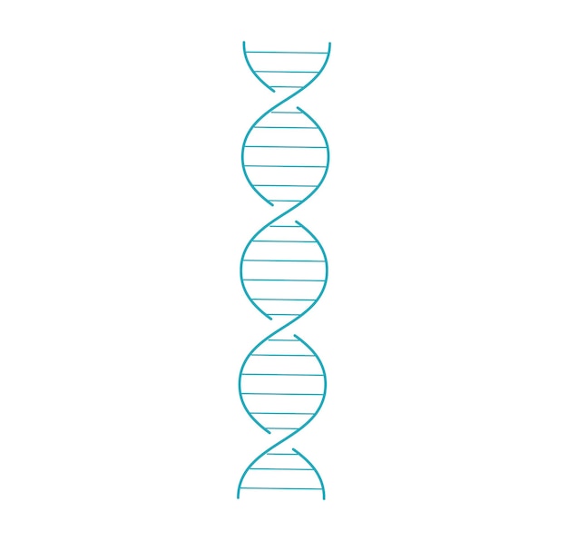 Estructura de doble hélice de ADN azul simplificada sobre fondo blanco vector de tema biológico o genético