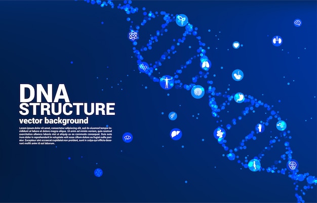 Estructura genética del ADN desde el punto al azar con el icono. concepto de fondo para biotecnología y biología científica.