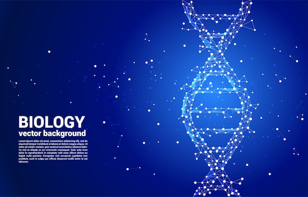Estructura genética del ADN del vector del polígono de línea de conexión de punto. concepto de fondo para biotecnología y biología científica.
