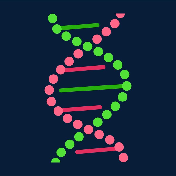 Vector estructura de hélice de moléculas de adn de células de genes humanos