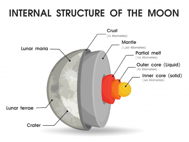 La estructura interna de la luna que se divide en capas.