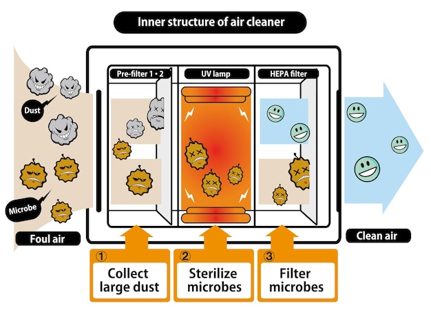 Vector estructura interna del purificador de aire