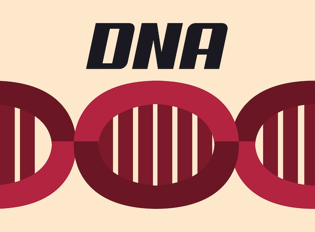 Estructura de la molécula roja de adn