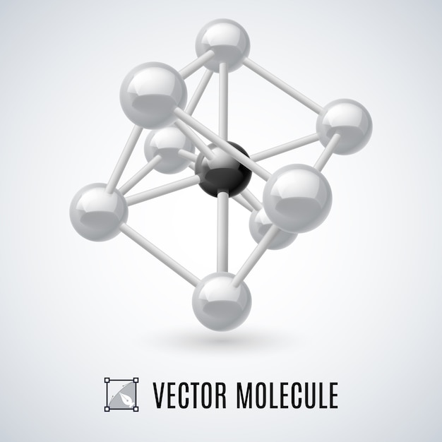 Estructura molecular