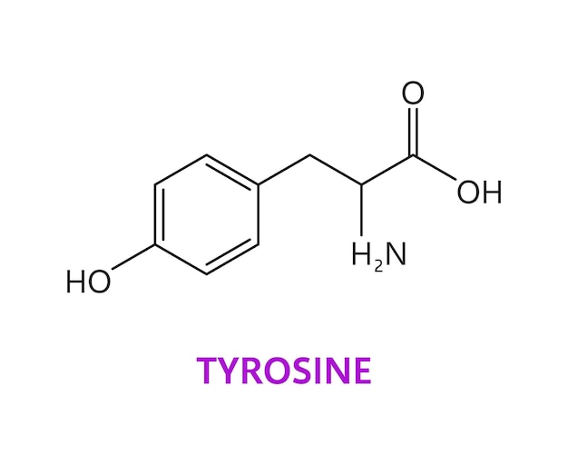 Estructura química de las moléculas de aminoácidos de tirosina