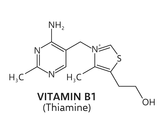 Estructura química de la tiamina con fórmula de vitamina B1