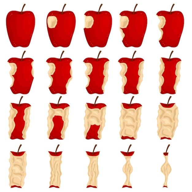 Etapas de color de dibujos animados para comer iconos de manzana Establecer elemento de concepto de fruta cruda Estilo de diseño plano Ilustración vectorial