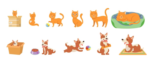 Vector etapas del conjunto de ilustración de dibujos animados de crecimiento de gatos y perros. felices personajes de mascotas pequeñas y ancianas creciendo, jugando con pelota, durmiendo y comiendo. tiempo, animal doméstico, concepto de progreso de la vida.