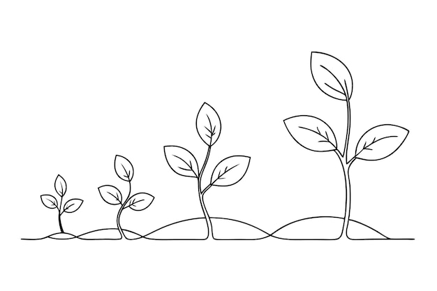 Etapas de crecimiento de las plantas