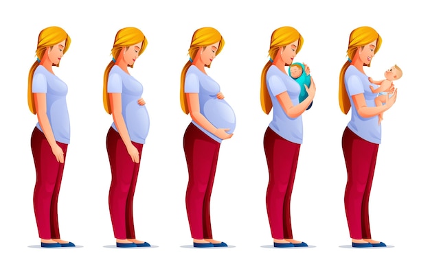 Etapas del embarazo Cambios en el cuerpo de la mujer durante el embarazo Mujer embarazada y recién nacido Vector