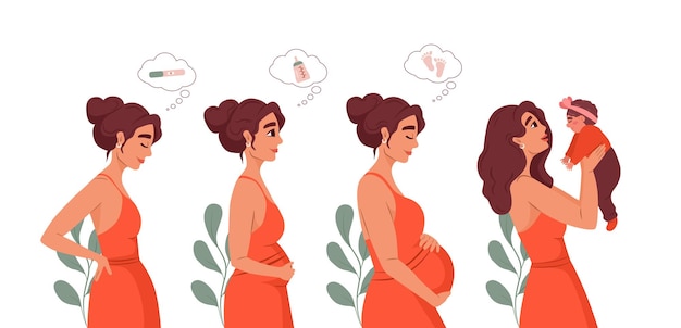 Etapas del embarazo mujer embarazada esperando bebé concepto de maternidad y maternidad padre de dibujos animados amor familiar hermosa mujer nacimiento esperando madre feliz fondo blanco ilustración vectorial