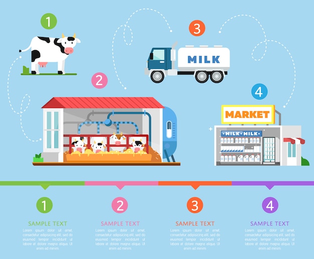 Etapas de la infografía de producción de leche.