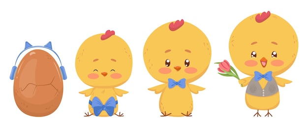 Etapas de maduración de los pollitos desde el huevo hasta el gallo Conjunto de dibujos aislados vectoriales