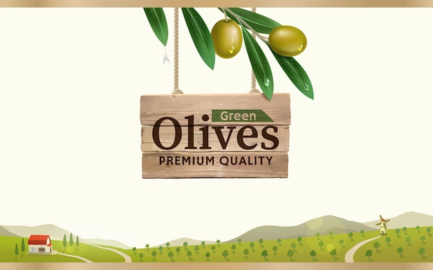 Vector etiqueta de aceituna verde con rama de olivo realista sobre fondo de granja de olivo verde, diseño para envases de aceitunas enlatadas y aceite de oliva.