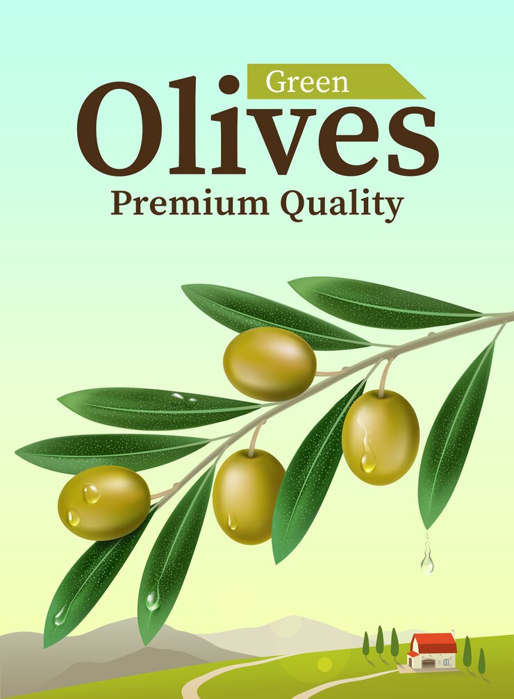 Vector etiqueta de aceitunas verdes con rama de olivo realista. ilustración