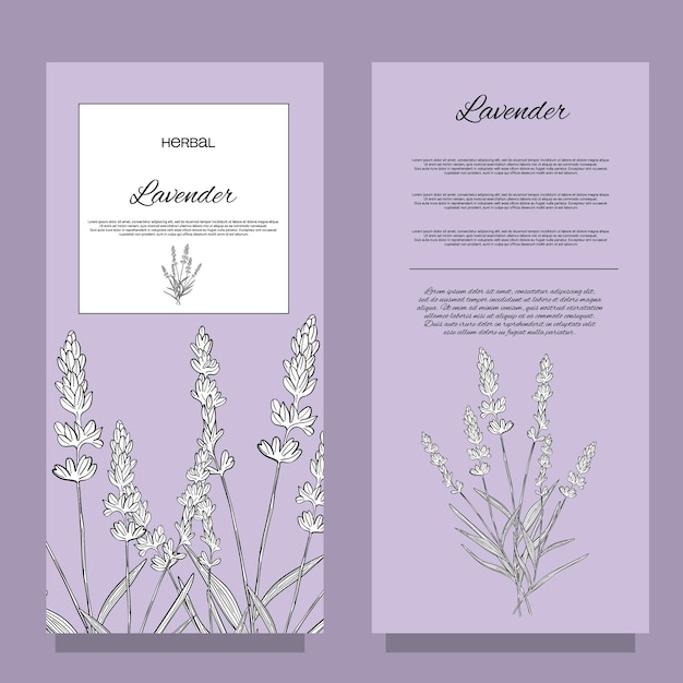 Etiqueta adhesiva Aroma hierbal lavanda flor púrpura relajación natural en la aromaterapia té medicina