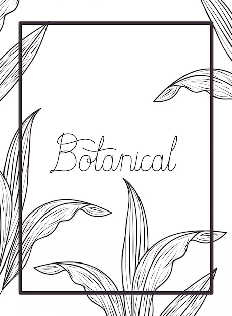 Etiqueta botánica con icono de plantas aisladas