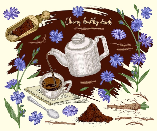 Etiqueta engomada de la tarjeta de etiqueta con boceto de color botánico realista de flores de achicoria en polvo tetera taza de té y cuchara aislado sobre fondo marrón colección de hierbas florales Planta de medicina