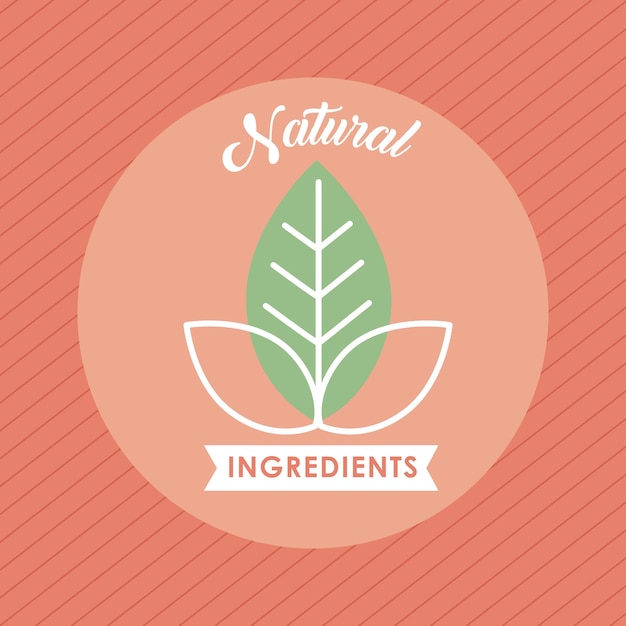 Vector etiqueta de ingredientes naturales