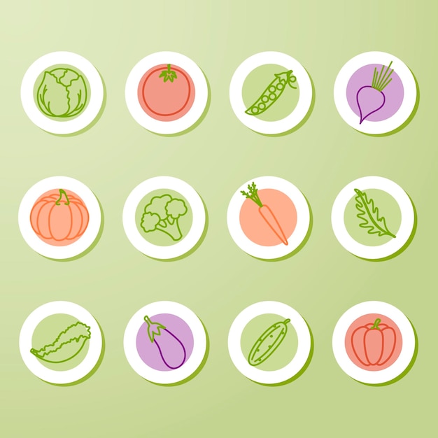 Etiquetas adhesivas de alimentos orgánicos Verduras saludables naturales Logotipo de alimentos frescos Pegatinas Alimentos ecológicos