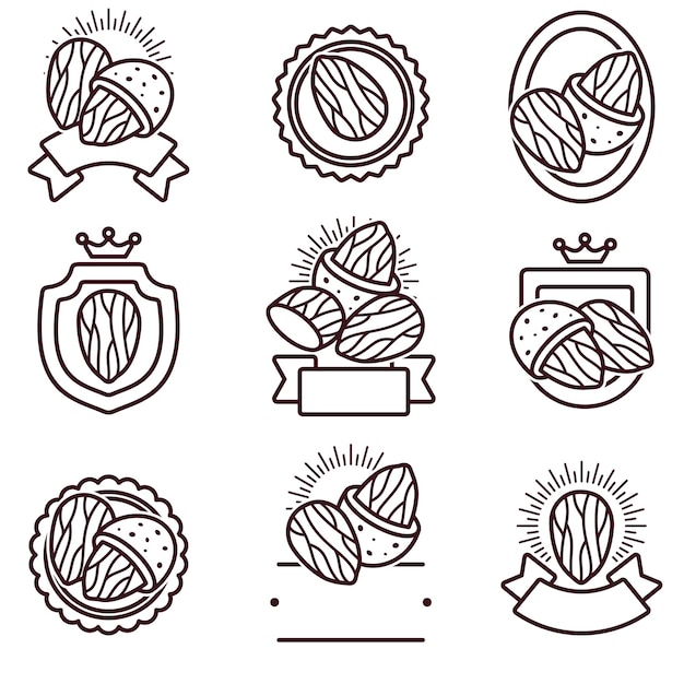 Etiquetas de almendras y conjunto de íconos Iconos de colección Vector de almendas