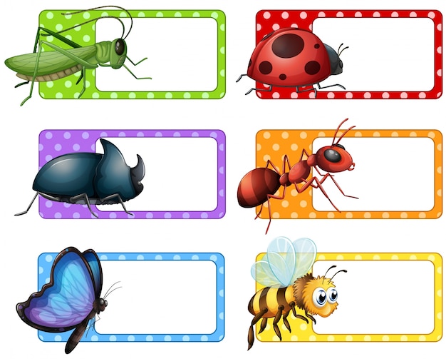 Etiquetas cuadradas y muchos insectos ilustración