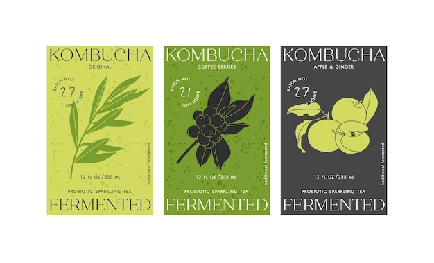 Etiquetas de diseño de ilustración de conjunto de vectores para kombucha diseño minimalista y moderno