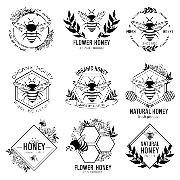Etiquetas de miel. Insignias de productos ecológicos de apicultura, pegatinas de propóleo orgánico natural de apicultura. Etiquetas de anuncios de néctar de flores conjunto aislado de vectores. Emblema de abeja, insignia de apicultura ilustración orgánica