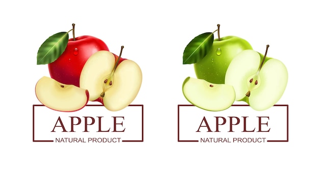 Vector etiquetas de productos naturales realistas con ilustración vectorial aislada de manzana verde y roja fresca