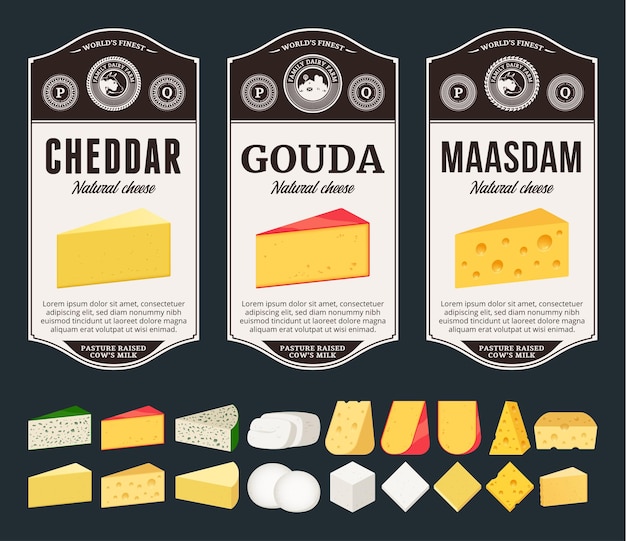 Etiquetas de queso vectorial e íconos detallados de los diferentes tipos de queso