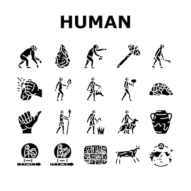 Vector evolución humana hombre cavernícola iconos conjunto vector